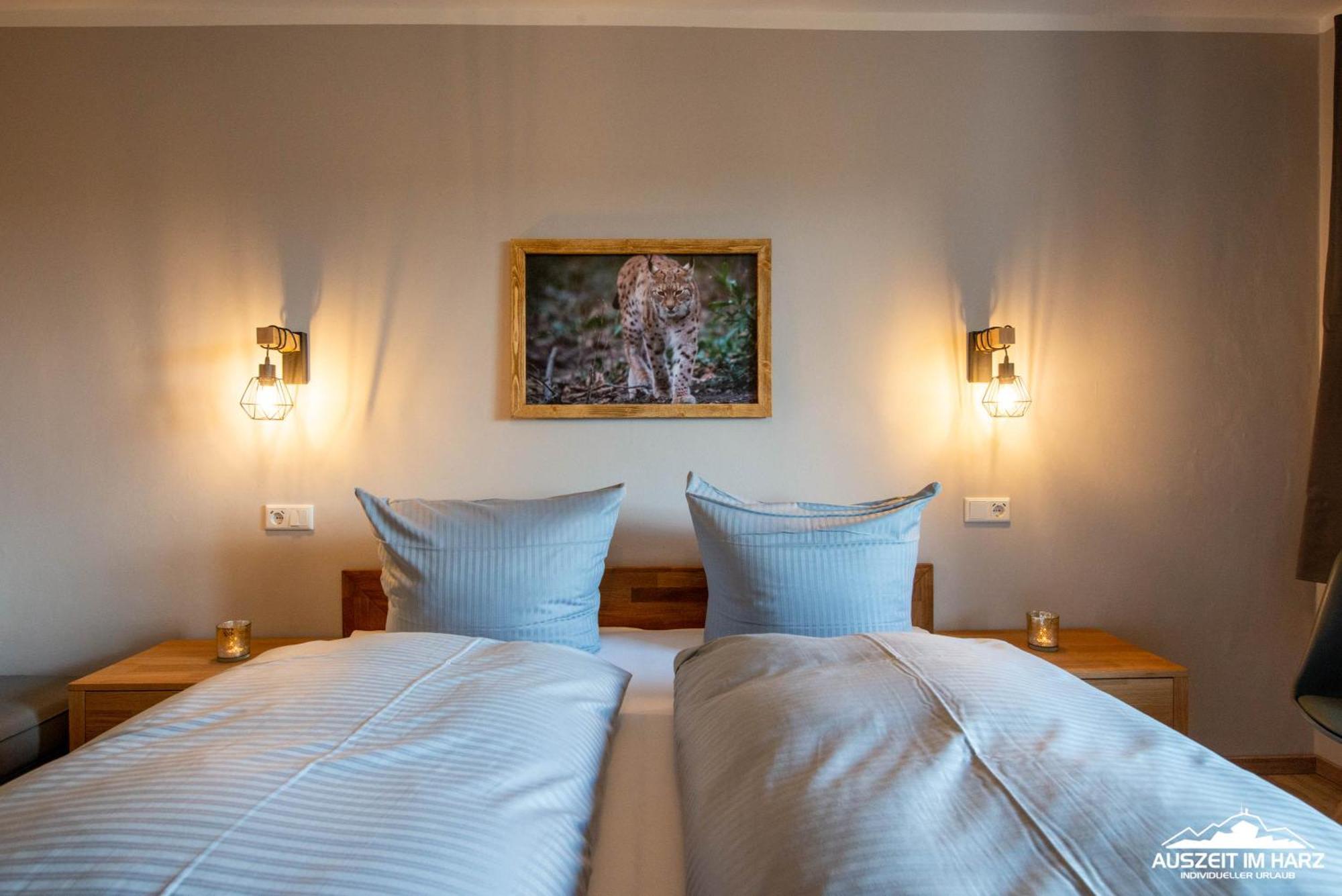Auszeit-Im-Harz Haus 3 Wohnung 3 Braunlage Extérieur photo
