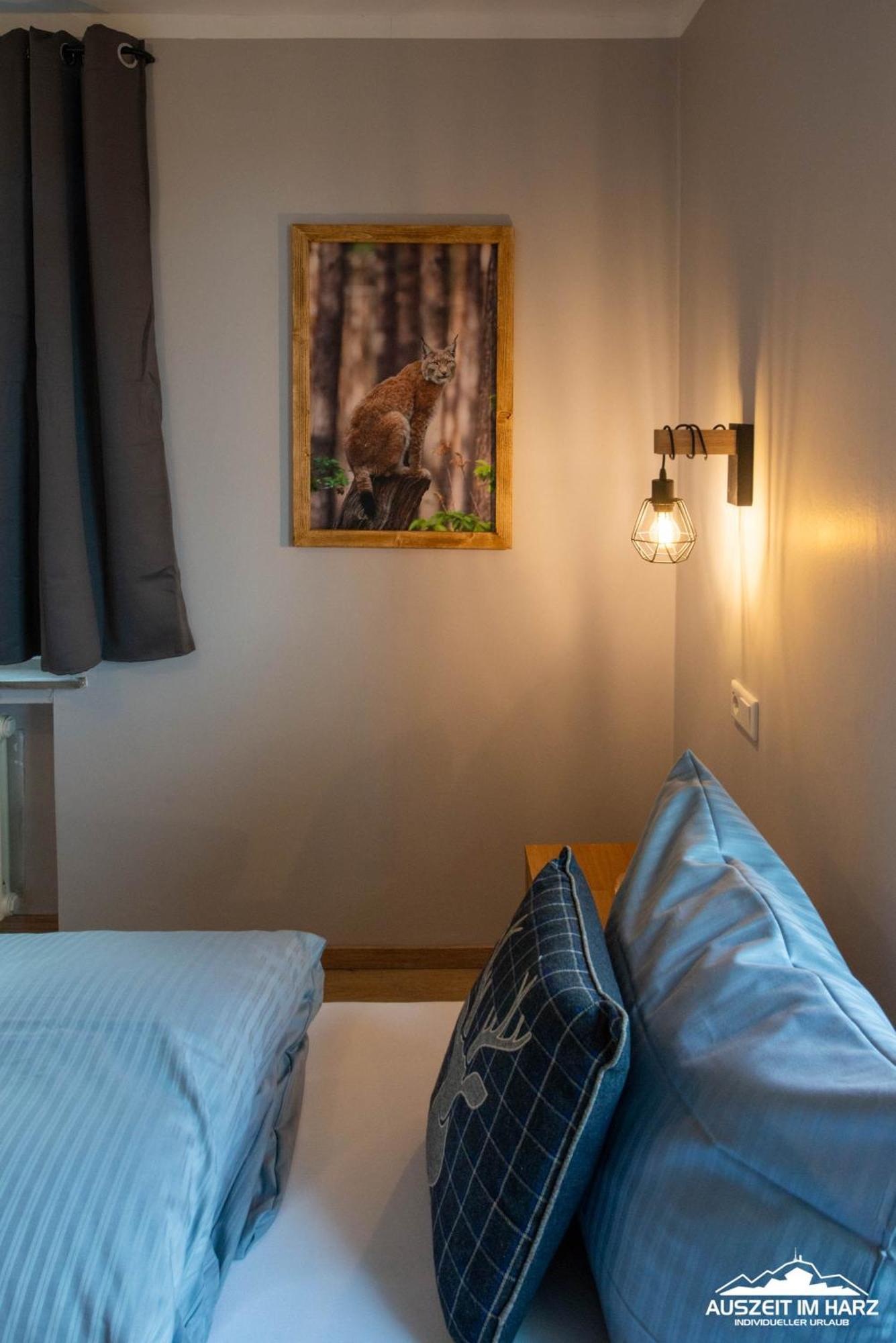 Auszeit-Im-Harz Haus 3 Wohnung 3 Braunlage Extérieur photo