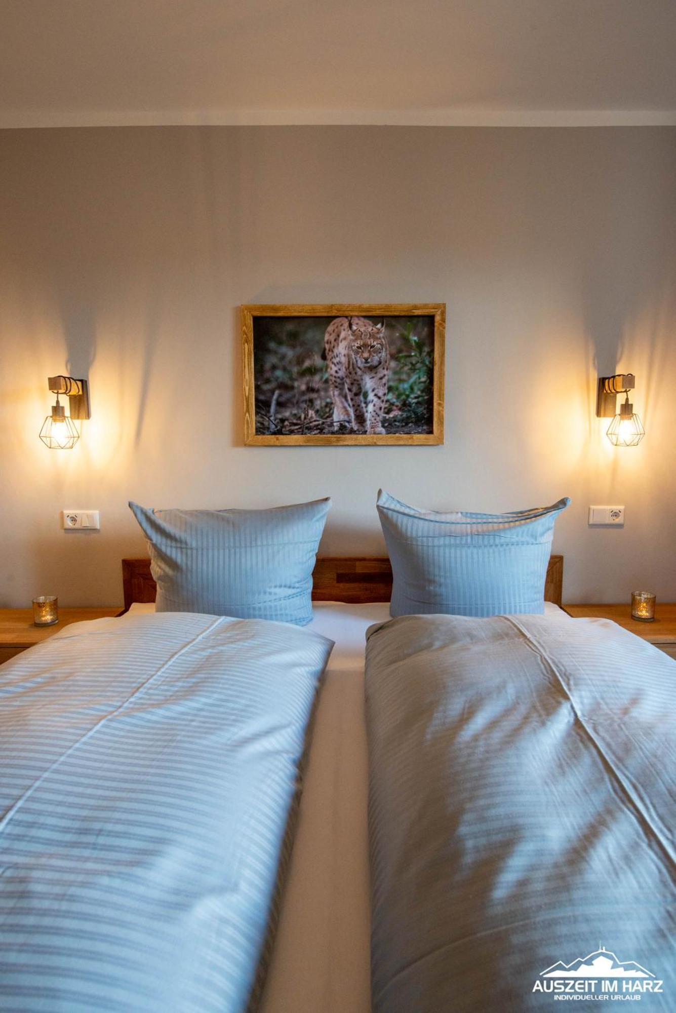 Auszeit-Im-Harz Haus 3 Wohnung 3 Braunlage Extérieur photo