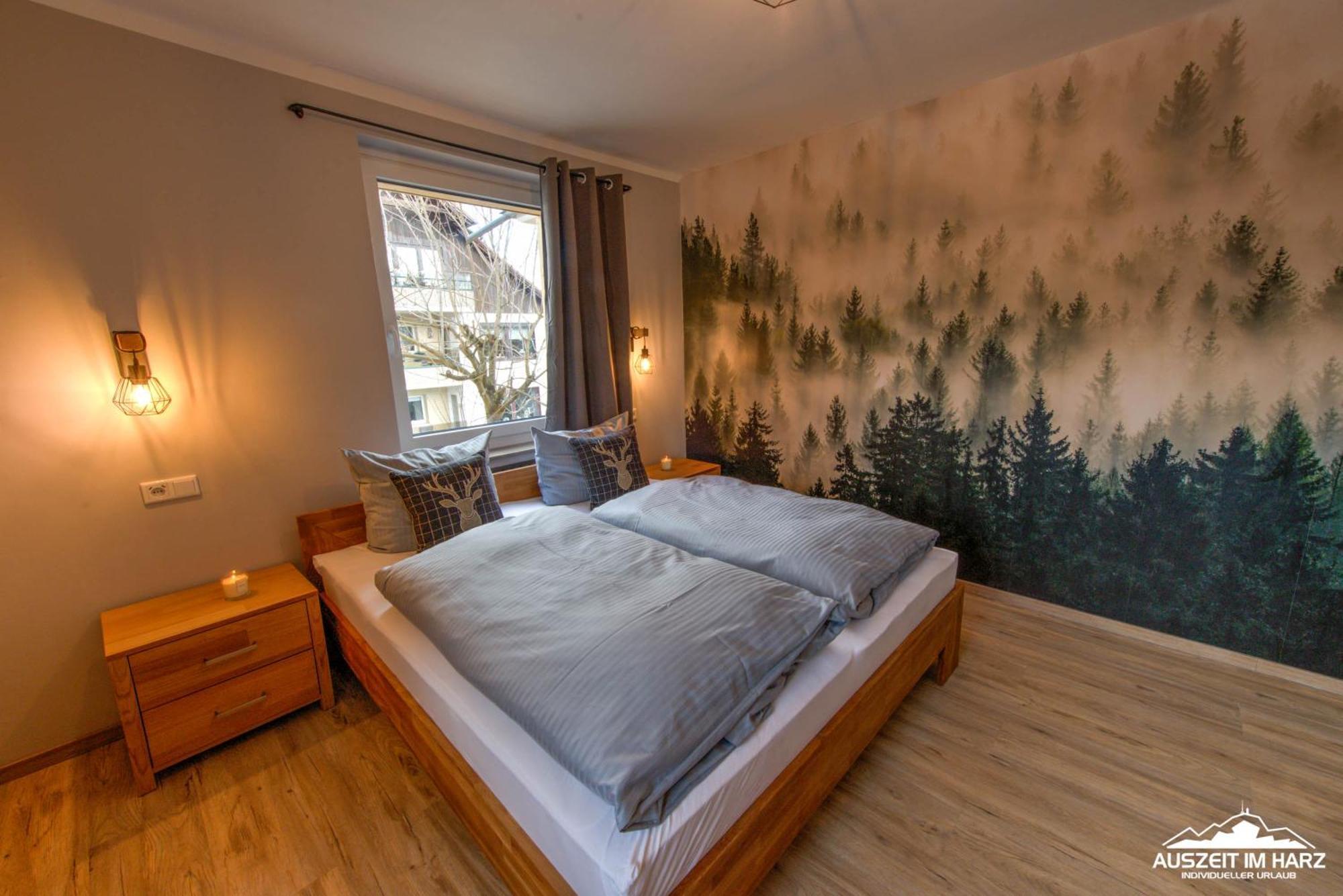 Auszeit-Im-Harz Haus 3 Wohnung 3 Braunlage Extérieur photo