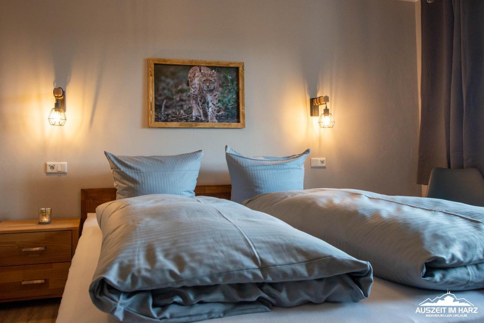 Auszeit-Im-Harz Haus 3 Wohnung 3 Braunlage Extérieur photo