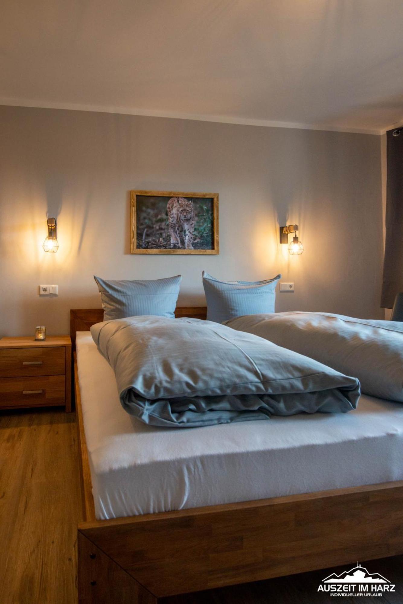 Auszeit-Im-Harz Haus 3 Wohnung 3 Braunlage Extérieur photo