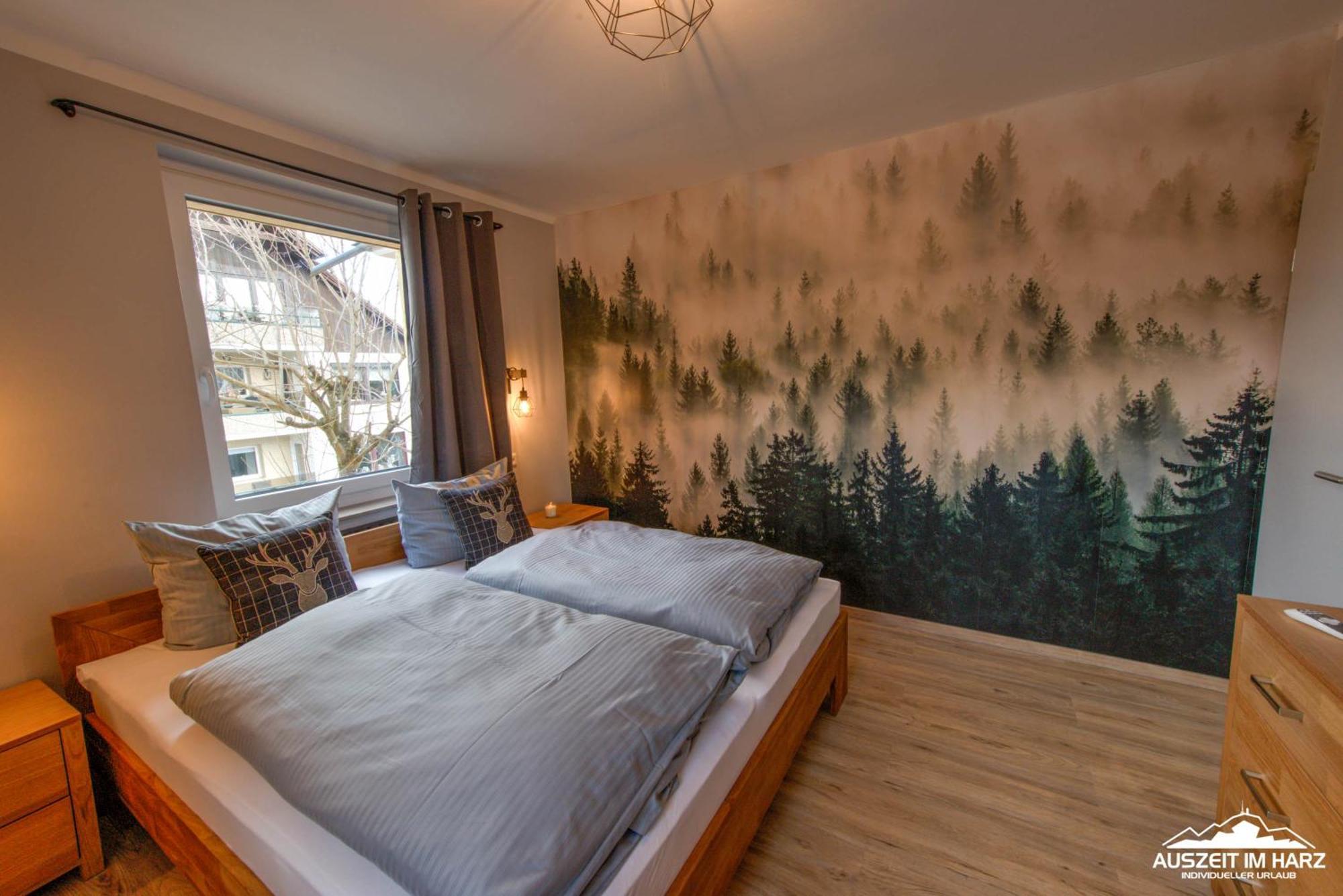 Auszeit-Im-Harz Haus 3 Wohnung 3 Braunlage Extérieur photo